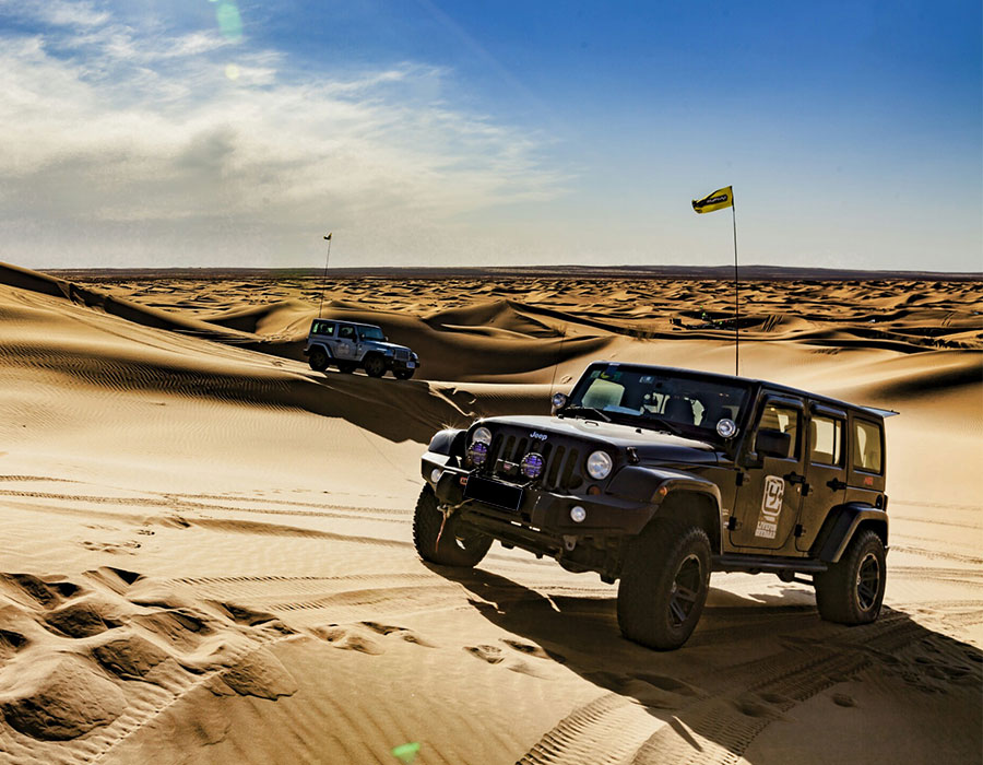 ZYZ–Built for Real Off-Road Builds