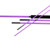 ZYZ 5m God-Tier Height 5-Piece Custom Purple Flag Whip
